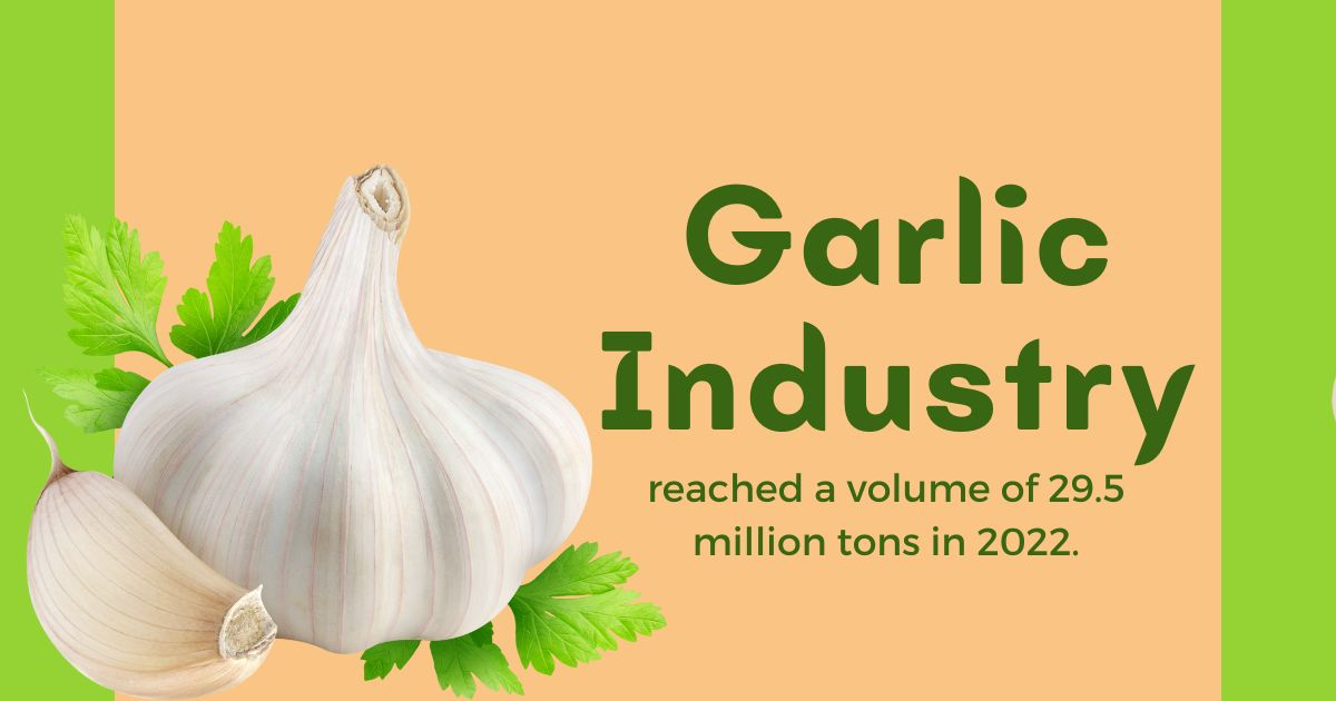 Garlic Market