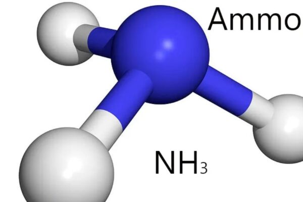 Ammonia Market