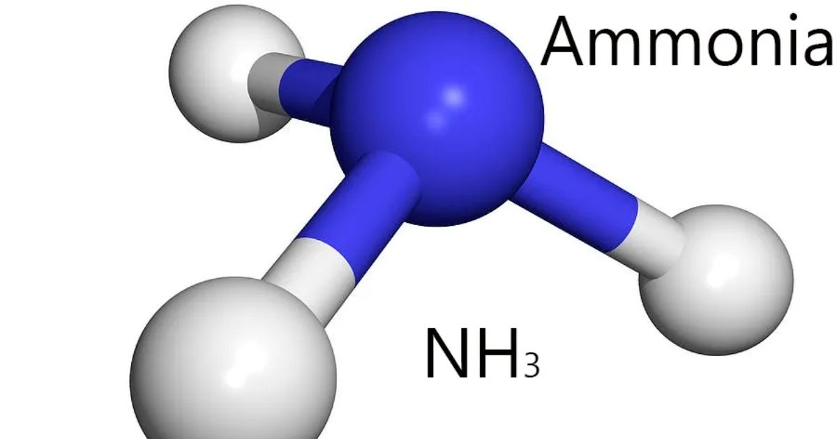 Ammonia Market