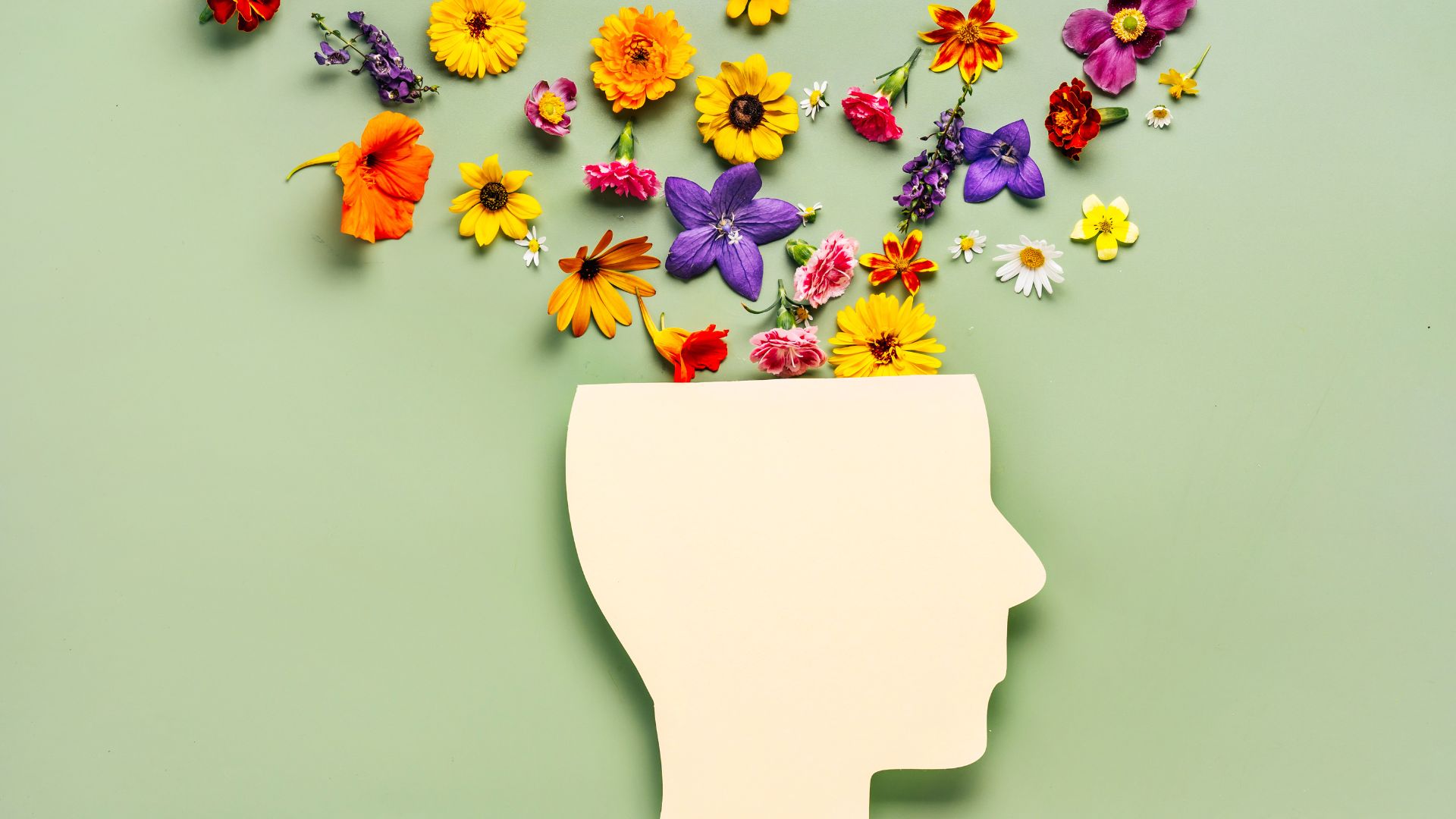 Holistic Mental Health Guide
