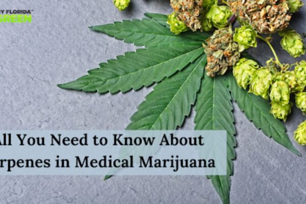 Medical Marijuana