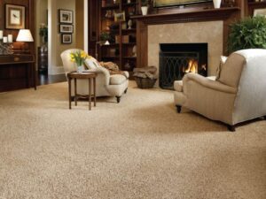 A Guide to Selecting the Right Floor Carpets