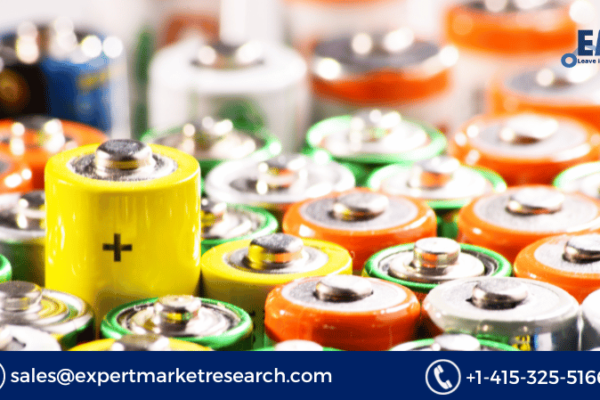 Alkaline Battery Market