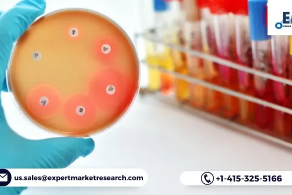 Antimicrobial Additives Market