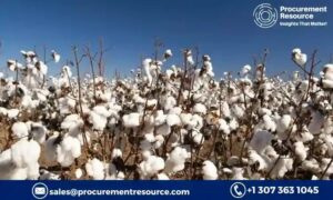 Cotton Lint Production Cost