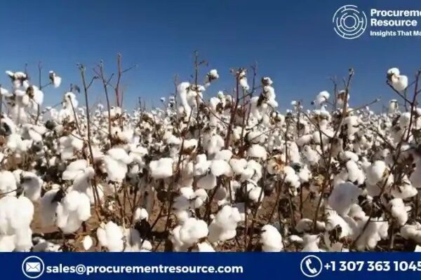 Cotton Lint Production Cost