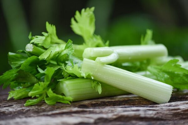 Celery Leaves