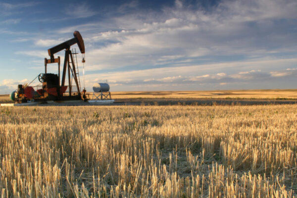 Mineral Rights for Sale: A Journey into Ownership and Community Mineral Rights for Sale