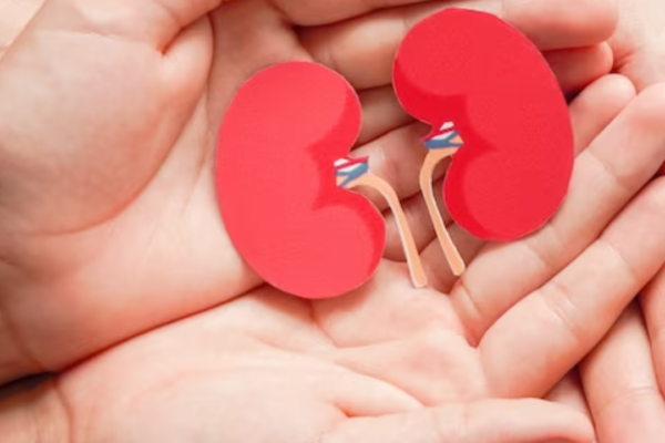 Kidney Transplant in India