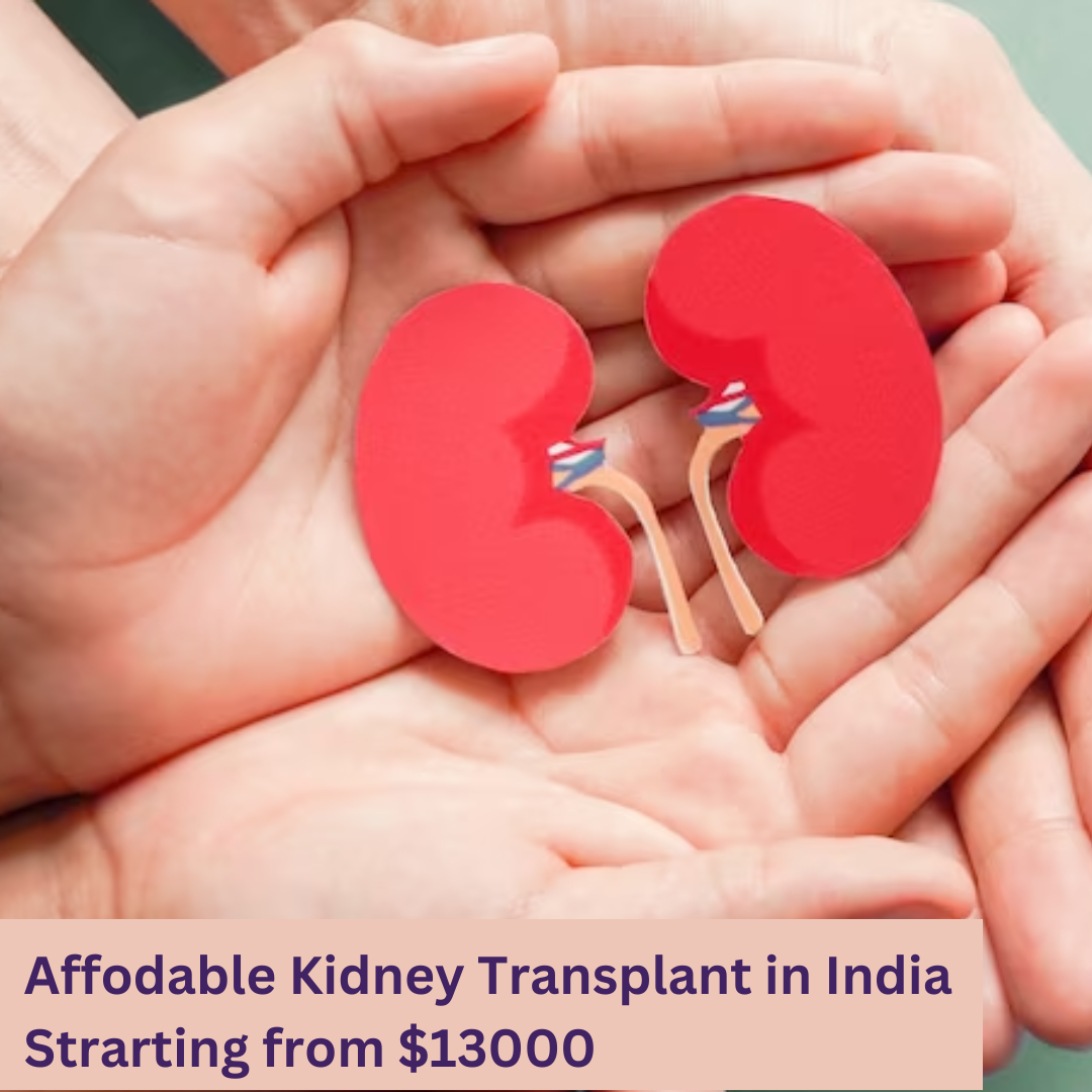 Kidney Transplant in India