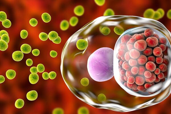 Preventing Chlamydia