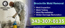Brockville mold removal