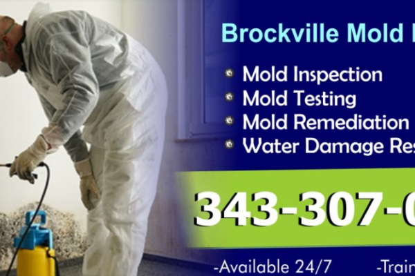 Brockville mold removal