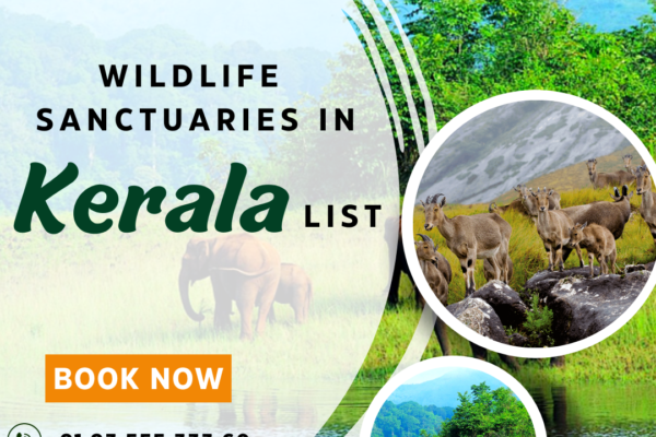 animals found in kerala