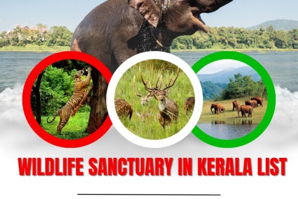 wildlife sanctuaries in Kerala