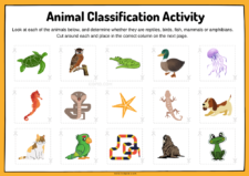 Importance of Understanding Animal Classifications