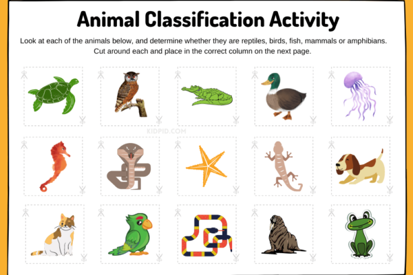 Importance of Understanding Animal Classifications