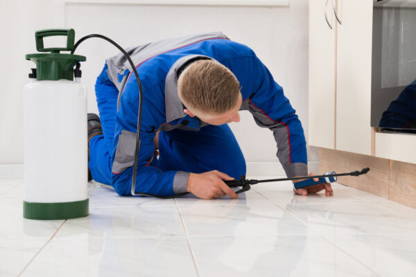 Pest Control Brampton